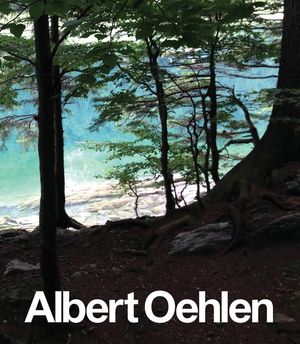 Albert Oehlen: New Paintings image number 0