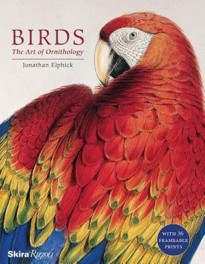 Birds: The Art of Ornithology image number 0