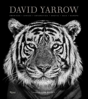 David Yarrow Photography: Americas Africa Antarctica Arctic Asia Europe image number 0