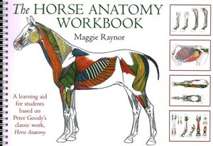 The Horse Anatomy Workbook: A Learning Aid for Students Based on Peter Goody's Classic Work, Horse Anatomy image number 0