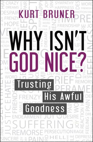 Why Isn't God Nice?: Trusting His Awful Goodness image number 0
