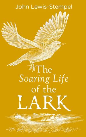 The Soaring Life of the Lark image number 0