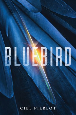 Bluebird image number 0