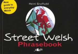 Street Welsh: A Phrasebook image number 0