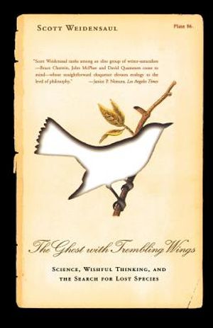 The Ghost with Trembling Wings image number 0