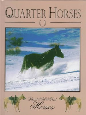 Quarter Horses image number 0
