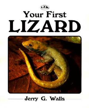 Your First Lizard image number 0