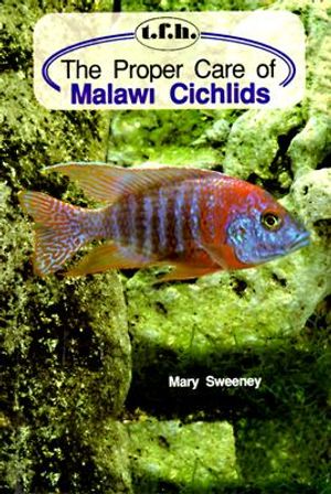 Proper Care Malawi Cichlids image number 0