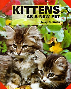 Kittens as a New Pet image number 0