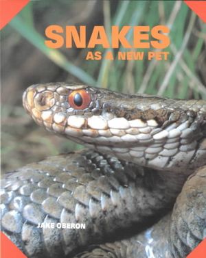 Snakes as a New Pet image number 0