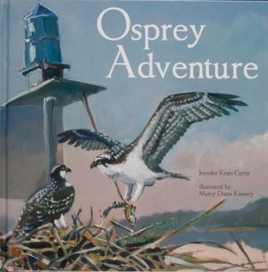Osprey Adventure image number 0