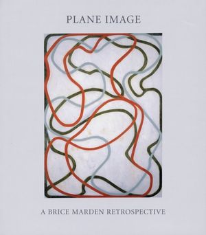 Plane Image: A Brice Marden Retrospective image number 0