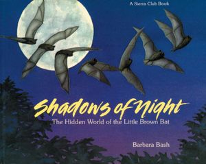 Shadows of the Night: The Hidden World of the Little Brown Bat image number 0