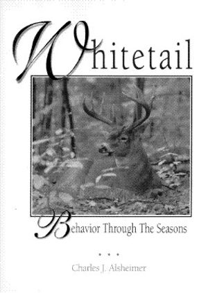 Whitetail Behavior Through the Seasons image number 0