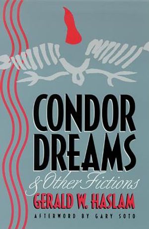 Condor Dreams & Other Fictions image number 0