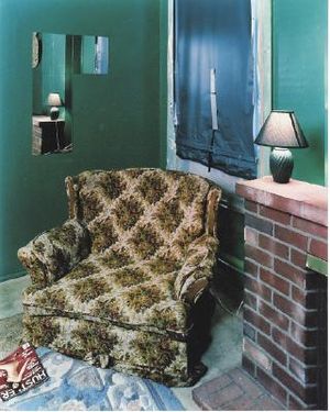 Whitney Biennial 2004: Whitney Museum of American Art image number 0