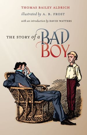 The Story of a Bad Boy image number 0