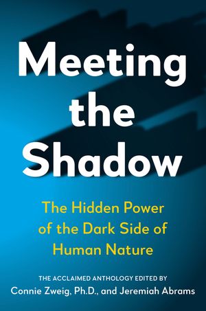 Meeting the Shadow: The Hidden Power of the Dark Side of Human Nature image number 0