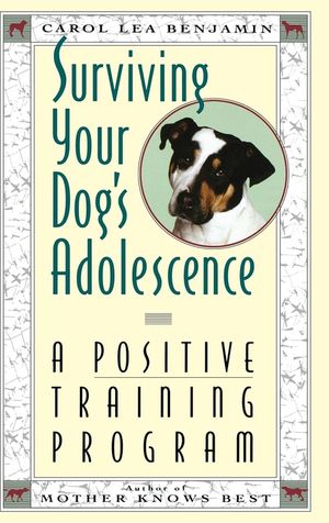 Surviving Your Dog's Adolescence: A Positive Training Program image number 0