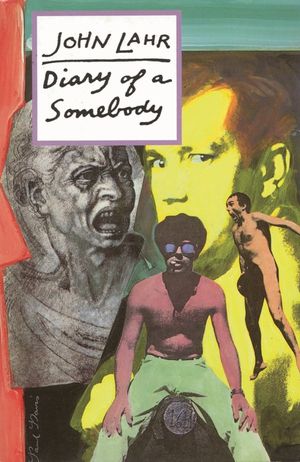 Diary of a Somebody image number 0