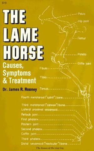 Lame Horse: Causes, Symptoms and Treatment image number 0