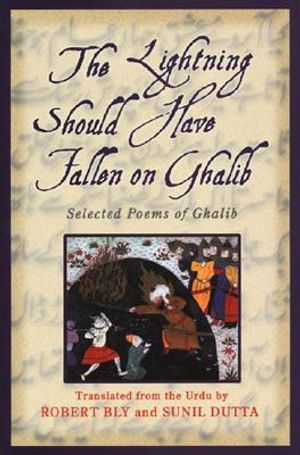Lightning Should Have Fallen on Ghalib image number 0