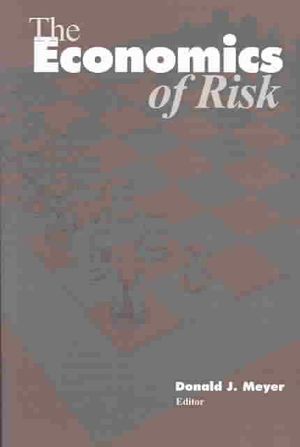 The Economics of Risk image number 0