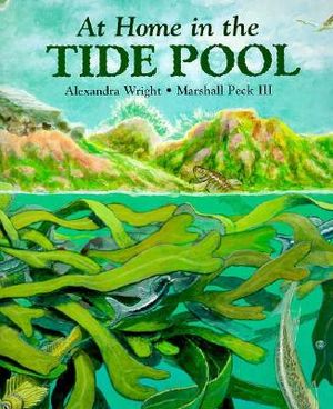 At Home in the Tide Pool image number 0