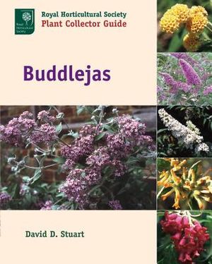 Buddlejas image number 0