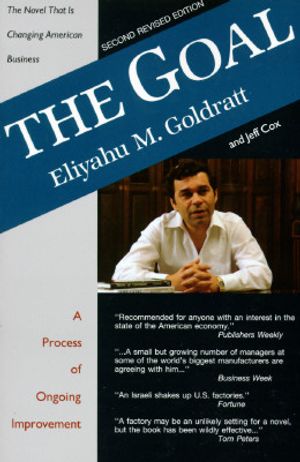 The Goal: A Process of Ongoing Improvement image number 0