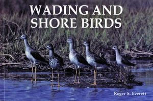 Wading and Shore Birds: A Photographic Study image number 0