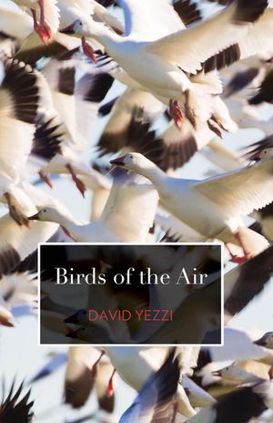 Birds of the Air image number 0