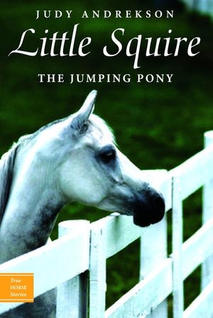 Little Squire the Jumping Pony image number 0