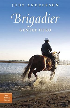 Brigadier: Gentle Hero image number 0