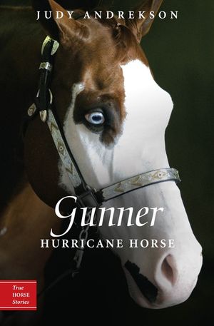 Gunner: Hurricane Horse image number 0