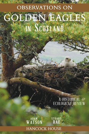 Observations of Golden Eagles in Scotland: A Historical & Ecological Review image number 0