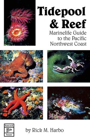 Tidepool and Reef image number 0