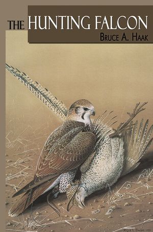 The Hunting Falcon image number 0