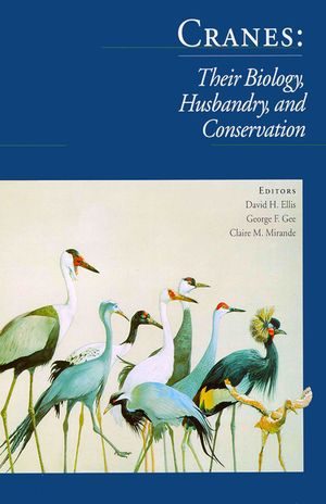 Cranes image number 0