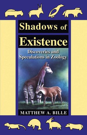 Shadows of Existence image number 0