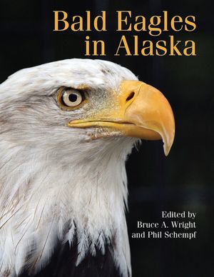 Bald Eagle in Alaska image number 0
