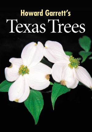 Texas Trees image number 0