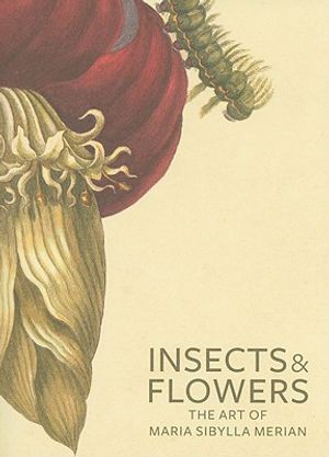 Insects and Flowers: The Art of Maria Sibylla Merian image number 0