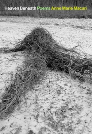 Heaven Beneath: Poems image number 0