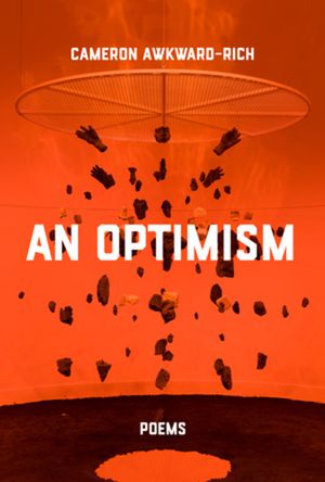 An Optimism: Poems image number 0