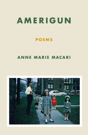Amerigun: Poems image number 0