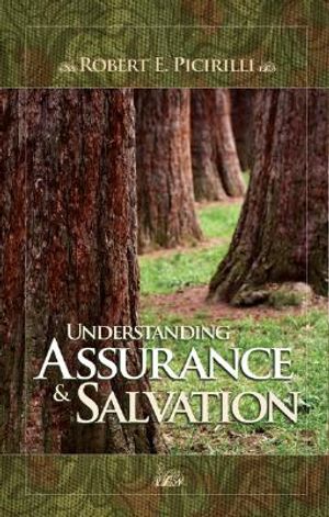 Understanding Assurance & Salvation image number 0