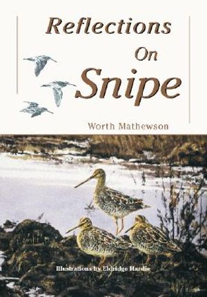 Reflections on Snipe image number 0