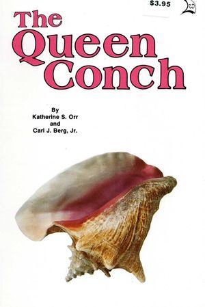 Queen Conch image number 0