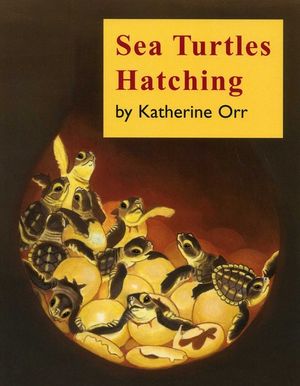 Sea Turtles Hatching image number 0